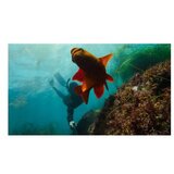 GoPro Extension Pole + Shutter Remote - EU Selfie Stick | Eponuda.ba