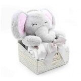 Dexyco sweet dreams baby set slonče, sivi Cene
