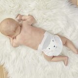 Kit & Kin plenice vel.1, 2-5 kg (40pak) 500065 | Shoptok.si