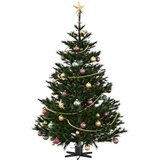  Stalak za božićno drvce 1.73 Crna 50 x 50 x 15,5 cm Čelik | shoptok.hr