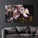 WALLXPERT OGLS-3055 - Višenamensko Tempered Staklo sa Šarenim Printom | Eponuda.com