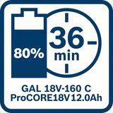 Bosch punjač GAL 18V-160 C + GCY 30-4 Professional 1600A019S6 | Eponuda.com