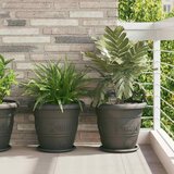  Kružni Pladanj za Cvijeće 24 pcs Crna Ø 27 x 2,5 cm Plastika Cijene
