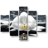  Slike na platnu 5-delne FENG SHUI FS018E50 (moderne slike na) | Shoptok.si