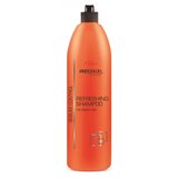Prosalon Šampon za kosu ORANGE LINE 1000g Cijene