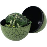 Dinosaur Figurine Egg 3 Colors 9cm | Shoptok.si