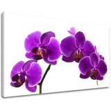  Zidna slika CVEĆE 30k40 cm | ePonuda.com