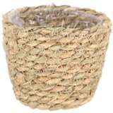  Košara za rastline - Ø 9 cm | Shoptok.si