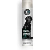 black shampoo 250ml