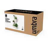 Umbra Plastične posude za cvijeće u setu 4 kom za bilje/viseće i zidne Cubiko – | shoptok.hr