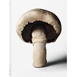 Taschen The Gourmand - The Gourmand's Mushroom: A Collection of Stories and Recipes Cene