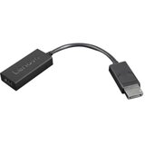 Lenovo 4X90R61023 video cable adapter 0.225 m DisplayPort HDMI Type A (Standard) Black | shoptok.hr