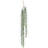 Atmosphera UMJETNO CVIJEĆE RAGWORT 7X7X37CM PVC ZELENO Slike