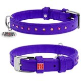 CLR WD 29 cm, Ljubičasta A2202517-Ogrlica za pse 12 mm/21 | Eponuda.com