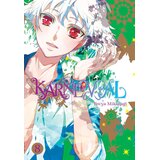 Diamond Comic Distributors Touya Mikanagi - Karneval, Vol. 8 | Eponuda.com