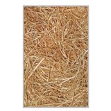 Conceptum Hypnose Tepih Hmnt561, Pravougaoni, 100 x 300 cm, Žuti | Eponuda.ba