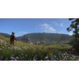 Deep Silver Kingdom Come Deliverance - Royal Edition (XBOX Series X) | shoptok.hr