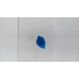  Plava 3032 toner | ePonuda.com