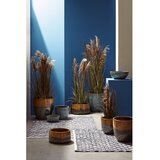 BIZZOTTO Umetna rastlina (višina 145 cm) Austorderia – | Shoptok.si