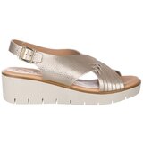 Zapp 2451 Gold Cijene