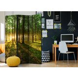  Paravan u 3 dijela - Morning in the Forest [Room Dividers] 135x172 | shoptok.hr
