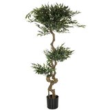 MID.YOU Umetna Rastlina Acacia | Shoptok.si