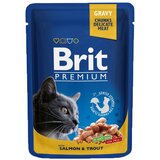 Brit Premium Cat Delicate koščki v omaki z lososom i postrvjo 100 g vrečka Cene
