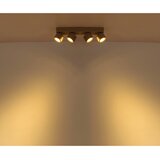 Globo LED-REFLEKTOR RAE 3000 K | Shoptok.si