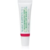 Mario Badescu Watermelon and Basil Lip Balm hidratantni balzam za usne 10 g Cijene