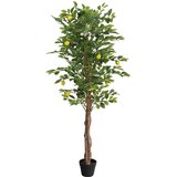  Umjetno stablo limuna s 3 debla zeleno 180 cm PP | shoptok.hr