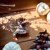 Dekordom Dekorativna činija crispo 13x11 - hml ( 044344 ) Cene