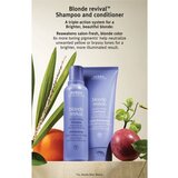 Aveda Blonde Revival™ Purple Toning Shampoo vijoličen toniran šampon za posvetljene lase ali lase s prameni 200 ml | Shoptok.si