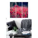 Wallity Set slika MDF3374193, 3 dijela | Eponuda.ba