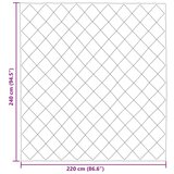  Poletna odeja Svetlo siva in antracit 220 x 240 cm Mikrovlakna, (5000288352) | Shoptok.si