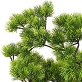 vidaXL umjetni bonsai bor s posudom 60 cm zeleni | shoptok.hr