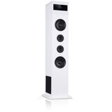Auna Karaboom 100, zvočnik, max 120 W, BT / USB / MP3 / AUX-In, držalo za tablični računalnik, bela barva Cene