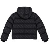 Guess Puhovke PADDED HOODED LS JACKET W/ZIP Črna | Shoptok.si
