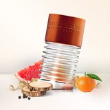 Bruno Banani Absolute Man toaletna voda za moške 50 ml | Shoptok.si