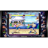 Capcom AKCIJA - STREET FIGHTER 30TH ANNI COLL. PS4 | Eponuda.ba