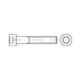 Toolcraft TO-5440530 vijci s cilindričnom glavom M24 60 mm unutarnji šesterostrani 25 St. | shoptok.hr