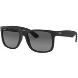 Ray-ban Sončna očala 'Justin' črna | Shoptok.si