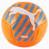 Puma Cat Ball | shoptok.hr