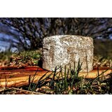 Golden Ring Cheese Butični sir Vipava Valley – Cene