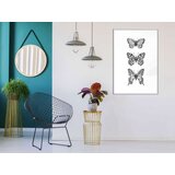  Poster - Butterfly Collection III 40x60 | shoptok.hr