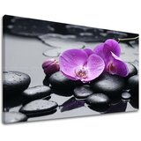  Slike na platnu feng shui FS011E11 (moderne slike na platnu) Cijene