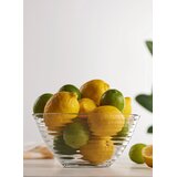 AMC HOME Činija Lav Derin | Eponuda.com