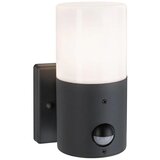 PAULMANN 94648 - 1xE27/15W IP44 Spoljašnja zidna lampa sa senzorom TUBS 230V Cene