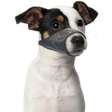 Duvo korpa za pse, s Duvo korpa za pse, s Slike