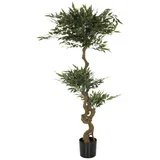 Umetna Rastlina Acacia
