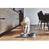 MiaCara Porculanske zdjele za hranu za ljubimce u setu 2 kom ø 21 cm Doppio Concrete M/L – | shoptok.hr